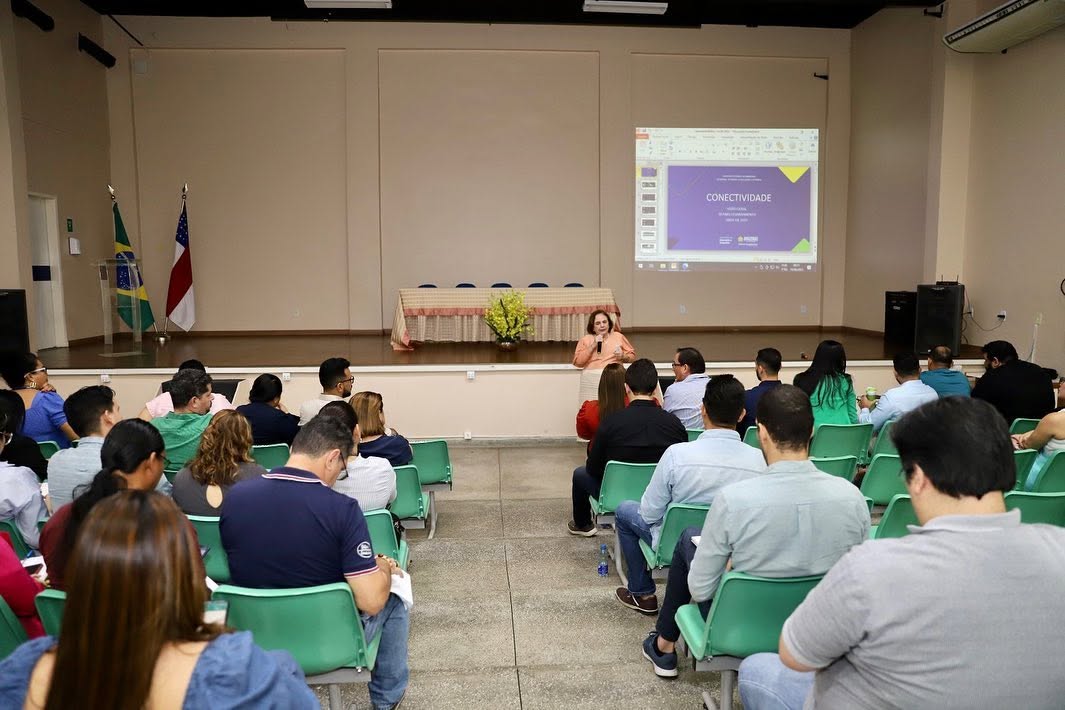 Therezinha Ruiz em palestra sobre Conectividade