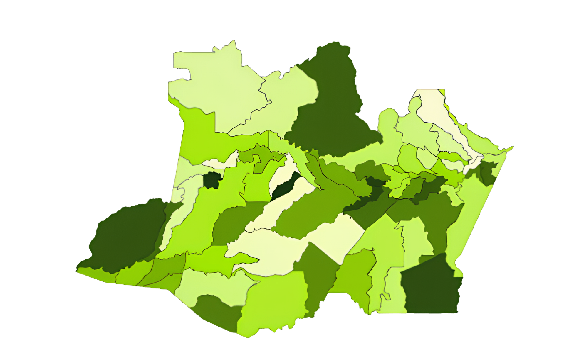 Mapa dos 62 municípios do Amazonas