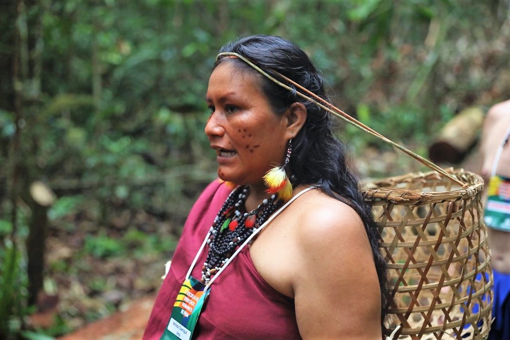 Mulher indígena da Amazônia com adornos tradicionais