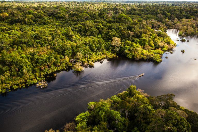 Vista aérea de rio e floresta amazônica
